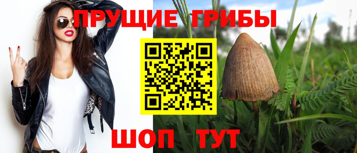 Новоуральск  Псилоцибиновые грибы GOLDEN TEACHER  Вход с VPN 