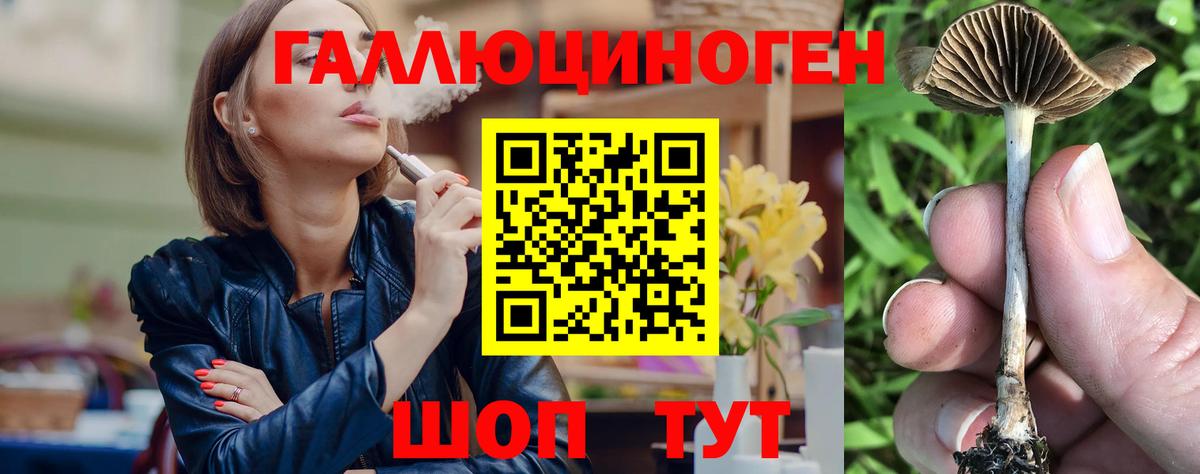 Псилоцибиновые грибы прущие грибы Новоуральск